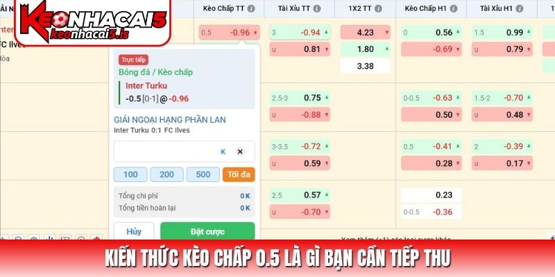 Kiến thức kèo chấp 0.5 là gì bạn cần tiếp thu